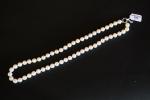 Collier de cinquante-six perles du JAPON 8,5/9 mm, fermoir en...