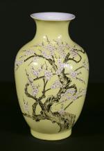 CHINE : Vase balustre en porcelaine à décor émaillé sur...