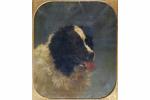 MELIN Joseph-Urbain (1814-1886) : Portrait d'un chien Landseer. H.s.T. signée...