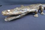 Ecole du XX's. Alligator, belle sculpture détaillée en bronze moderne....