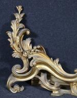 Devant de foyer de style Louis XV en bronze doré...