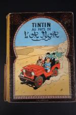 LES AVENTURES DE TINTIN - TINTINOPHILIE - Tintin au pays...