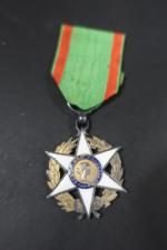 France Ordre du Mérite agricole. Étoile de Chevalier. Ruban.