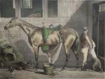 D'après G. AMMONDE et COTTIN : Portraits de chevaux :...