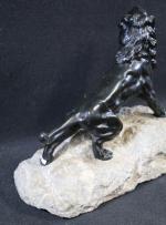 ANDREY James (XIX-XX's) : Lion rugissant. Bronze patiné sur socle...