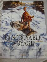 L'INCROYABLE VOYAGE (WALT DISNEY) - un film de  Duwayne...