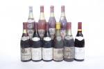 BOURGOGNE Rouge - Lot de 10 bouteilles dépareillées comprenant :...