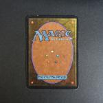 MAGIC THE GATHERING : 
Hypnotic Specter - édition Alpha
Poids : 1.72Gr/ligne noire...