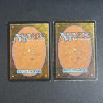 MAGIC THE GATHERING : 
Lot de 2 cartes : llanowar Elves et...