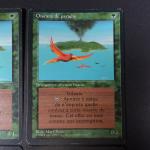 MAGIC THE GATHERING : 
Lot de 4 cartes Oiseaux du paradis...