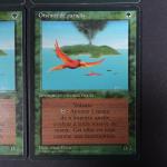 MAGIC THE GATHERING : 
Lot de 4 cartes Oiseaux du paradis...
