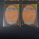 MAGIC THE GATHERING : 
Lot de 12 cartes - édition 3éme...