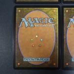 MAGIC THE GATHERING : 
Lot de 4 cartes Noble Hiérarch FOIL...
