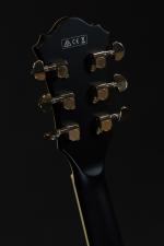 Ibanez. Guitare électrique modèle AF75G-BKF 5B-01, avec housse et facture...
