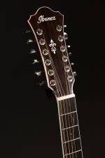 Ibanez. Guitare électrique à 12 cordes modèle AE2412NT, en housse,...