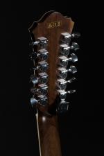 Ibanez. Guitare électrique à 12 cordes modèle AE2412NT, en housse,...