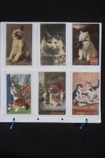 36 cartes postales FANTAISIE animaux : les CHATS. Très bon...