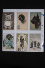 24 cartes postales FANTAISIE animaux les CHIENS.