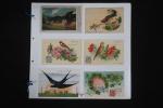 12 cartes postales FANTAISIE oiseaux. Très bon lot