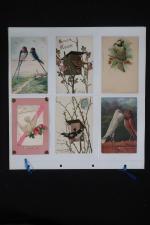 12 cartes postales FANTAISIE oiseaux. Très bon lot