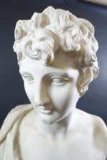 Buste d'Apollon en marbre blanc, sur piédouche en marbre veiné,...